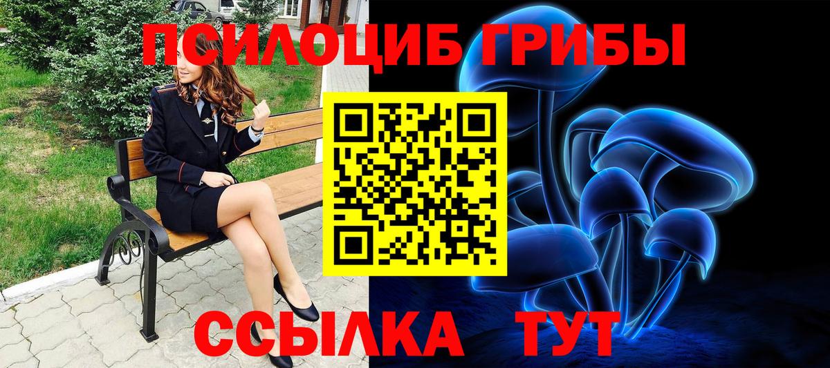 Можайск  Псилоцибиновые грибы Cubensis  Вход с VPN 