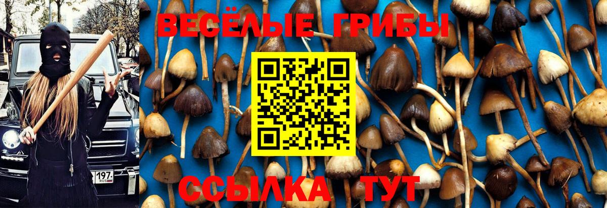 Галлюциногенные грибы мицелий Можайск